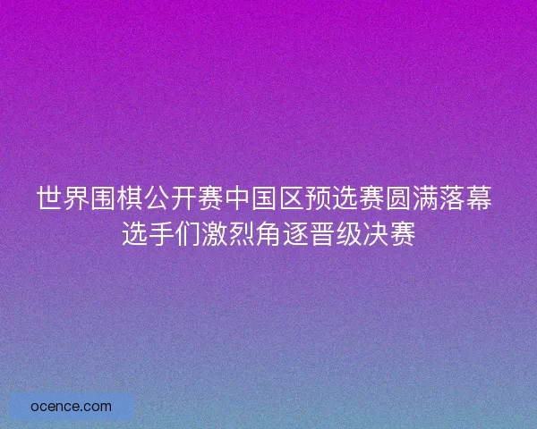 世界围棋公开赛中国区预选赛圆满落幕 选手们激烈角逐晋级决赛